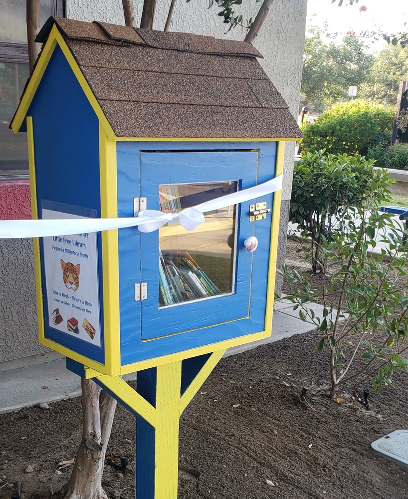 Harmony's Little Free Library